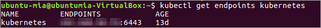 Internal endpoint