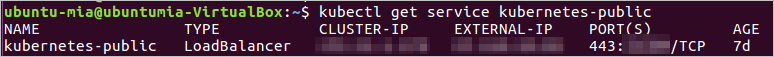 Obtain the SLB public IP
