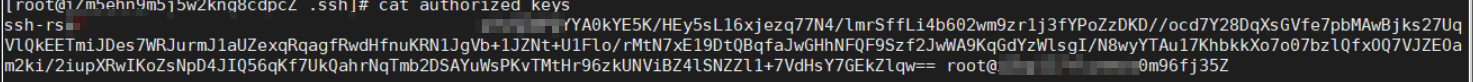 Check SSH authorization