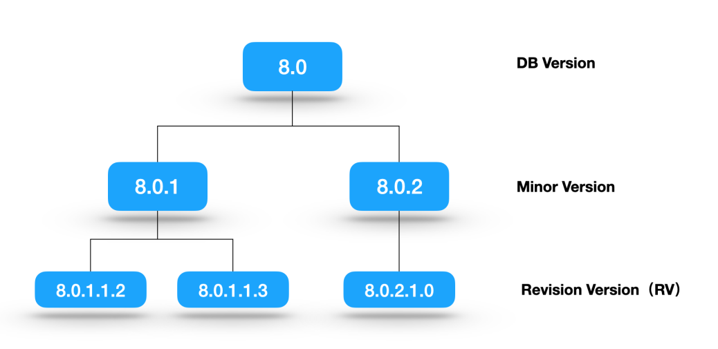 Version description
