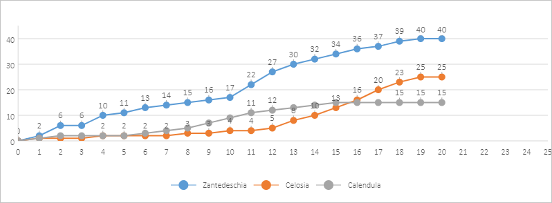 Scatter chart with straight lines and markers