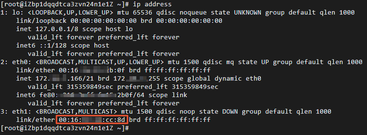 Query the MAC address