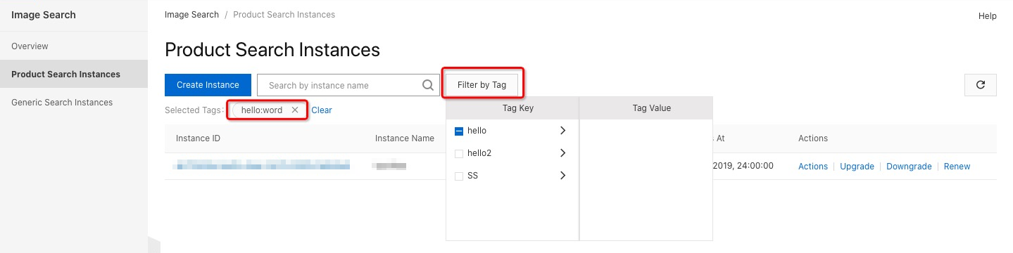 Filter instances by tag