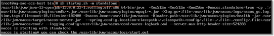 启动Nacos