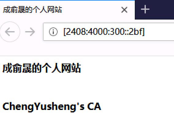 图2:访问IPv6地址示例