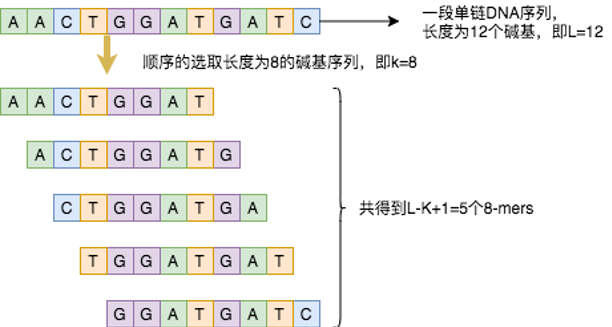 图5:8-mers核酸序列示意图