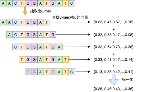 DNA序列转向量