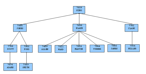 示例应用程序中的组织树_分层查询_SQL教程_兼容Oracle数据库开发指南_云数据库PolarDB