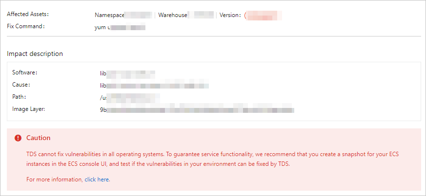 Vulnerability details