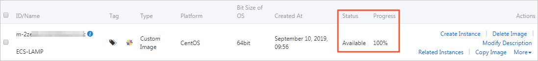 Custom image