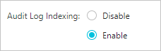 Enable audit log indexing