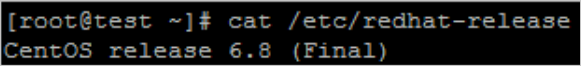 Check the system version